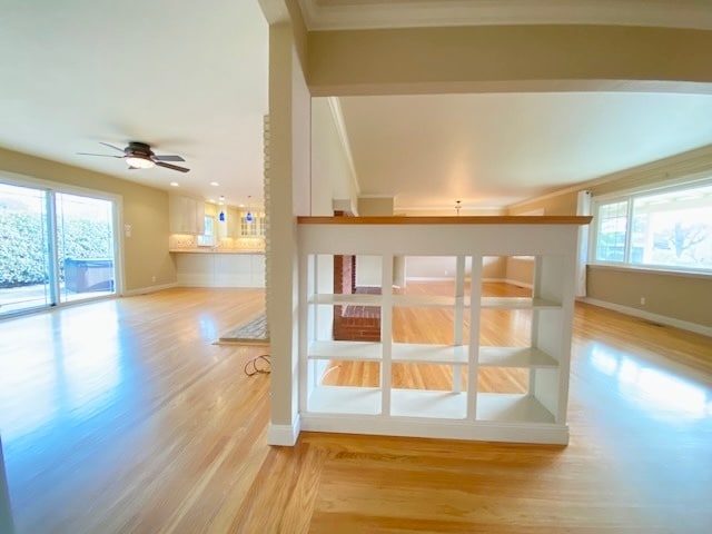 Building Photo - 3799 El Campo Ct