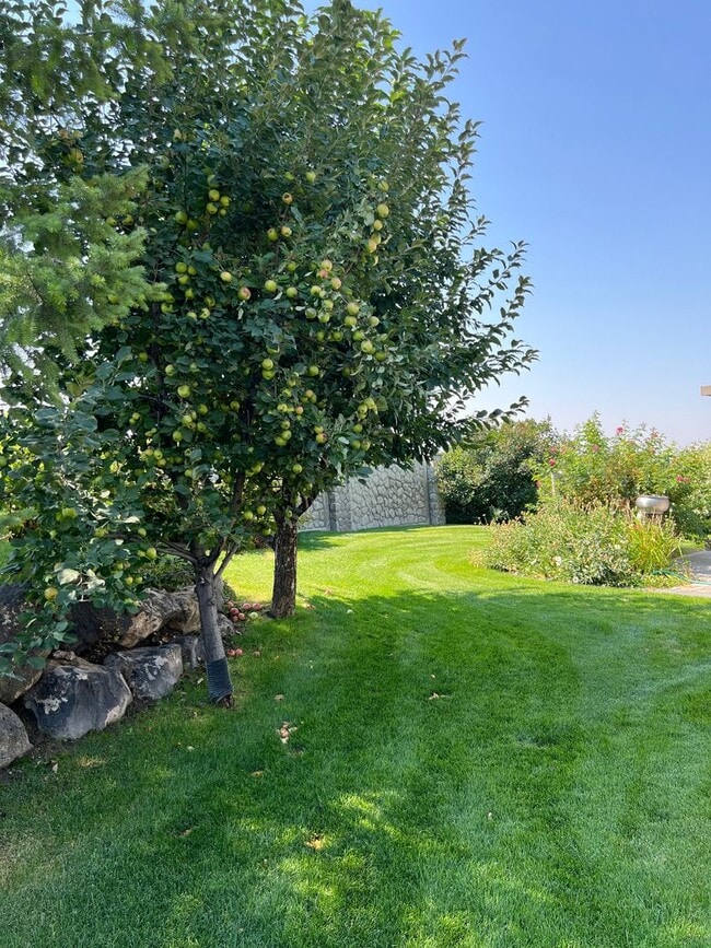 Building Photo - **$100 OFF FIRST MONTHS RENT!** Stunning 5 bed 3.5 bath twin-home on the Rexburg Hill