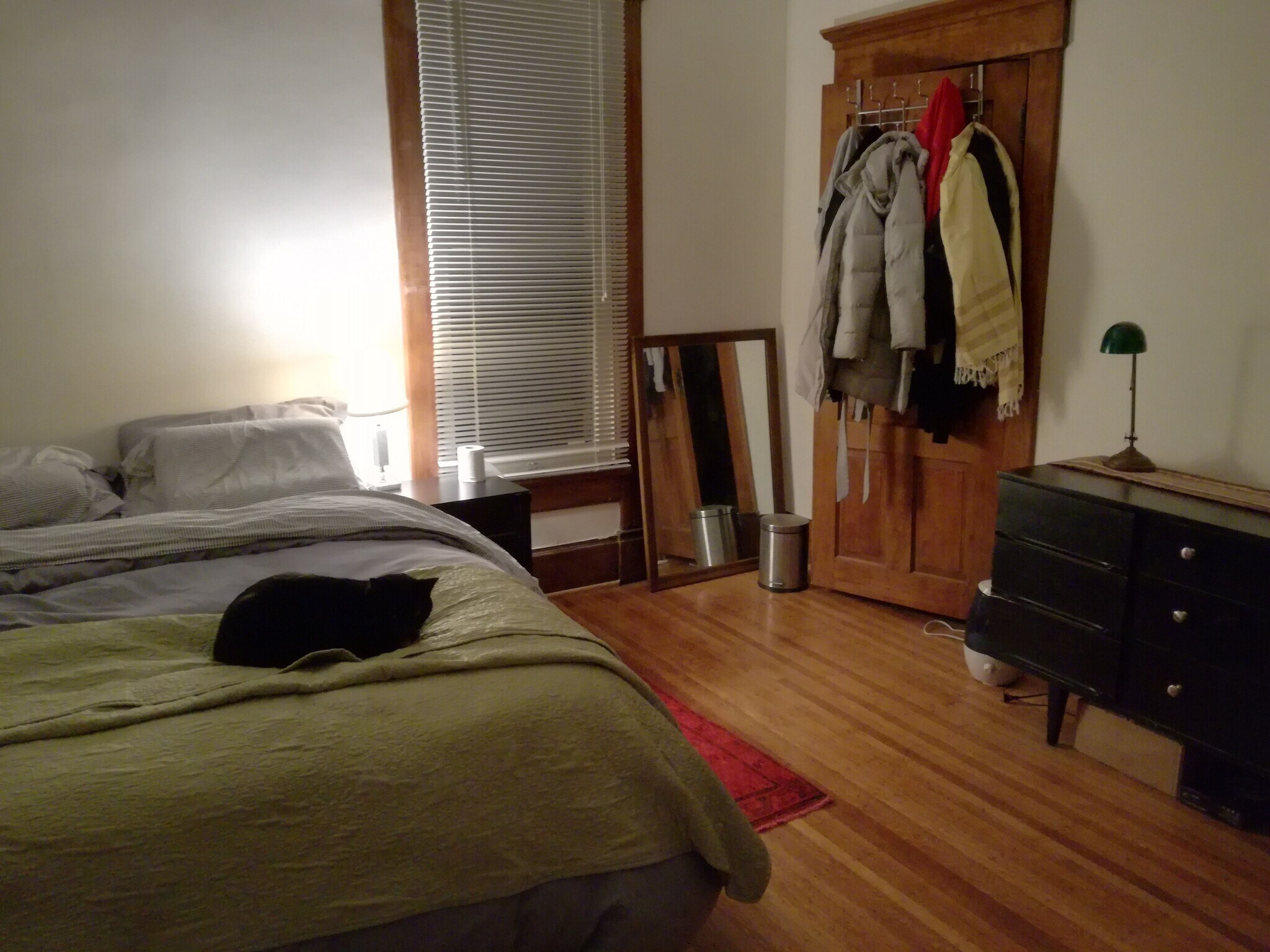 Larger bedroom - 1131 Lexington Ave