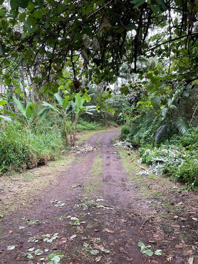 16 Melia St 16 Melia St Keaau HI 96749 Apartment Finder