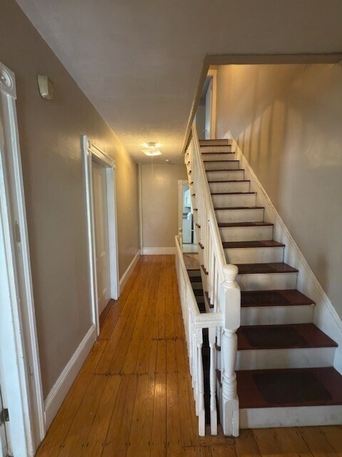 Building Photo - 137 Lynde St