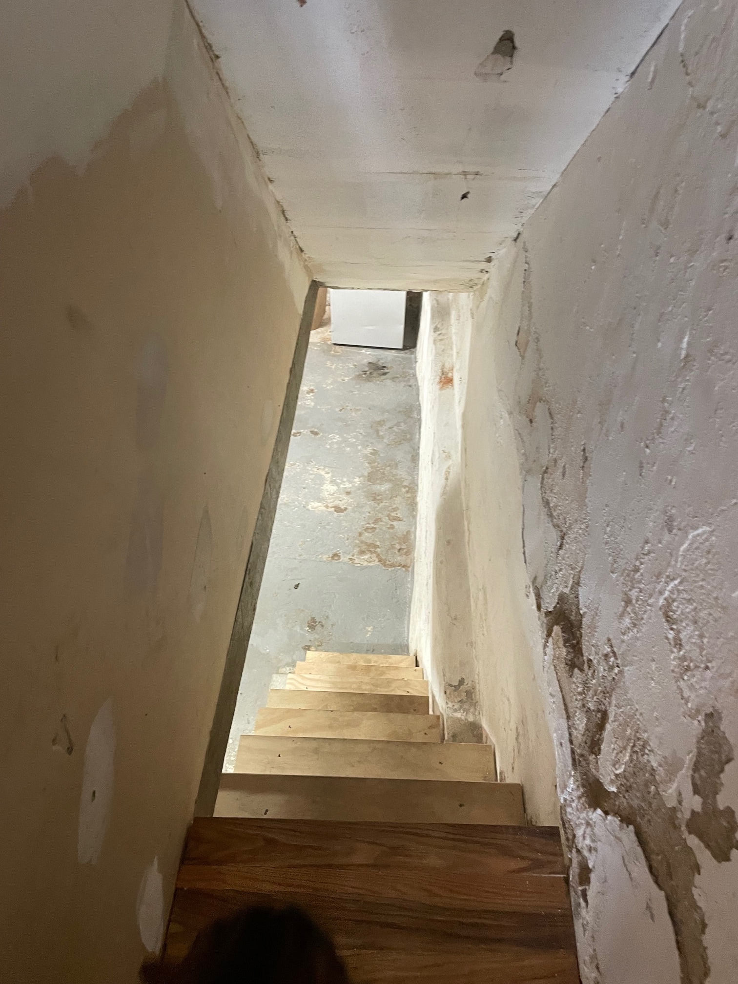 basement steps - 3044 Amber St
