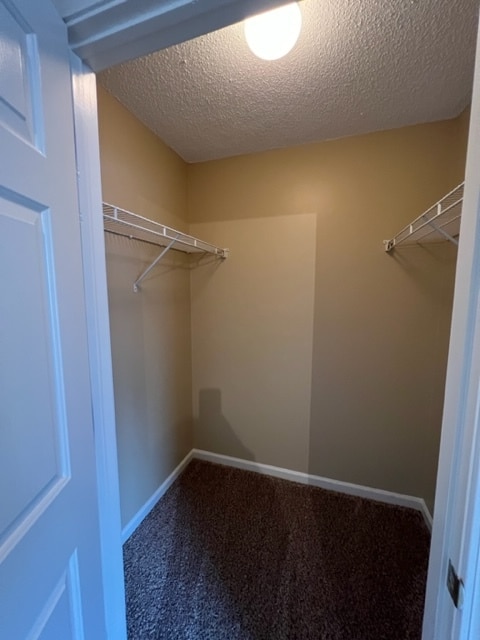 Building Photo - 2624 Guyer St