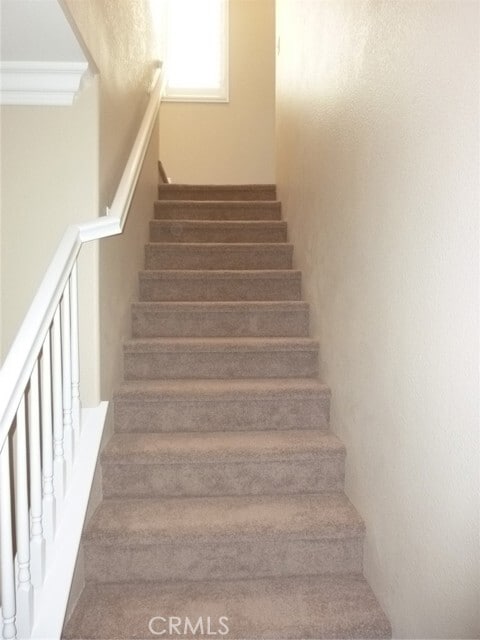 Building Photo - 141 Trofello Ln