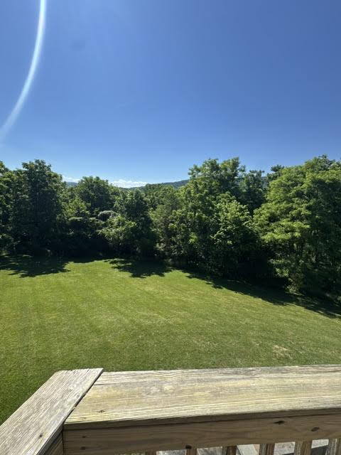 Building Photo - Mountain Home with Panoramic Skyline Drive Views available June 30th!