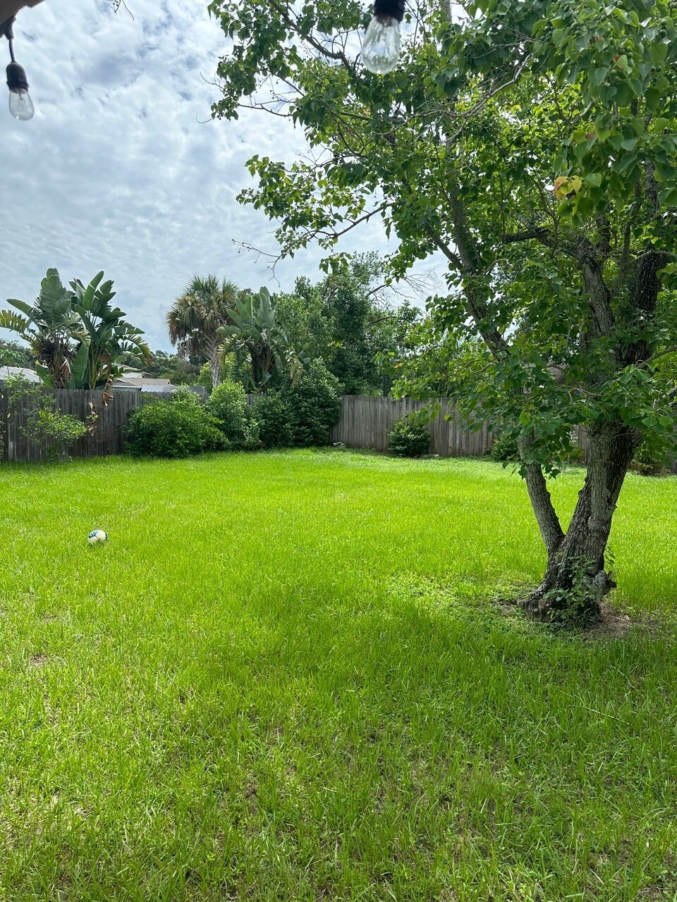 Building Photo - 7216 Woodbrook Dr