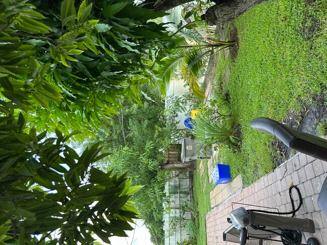 Building Photo - 4862 Tortuga Dr