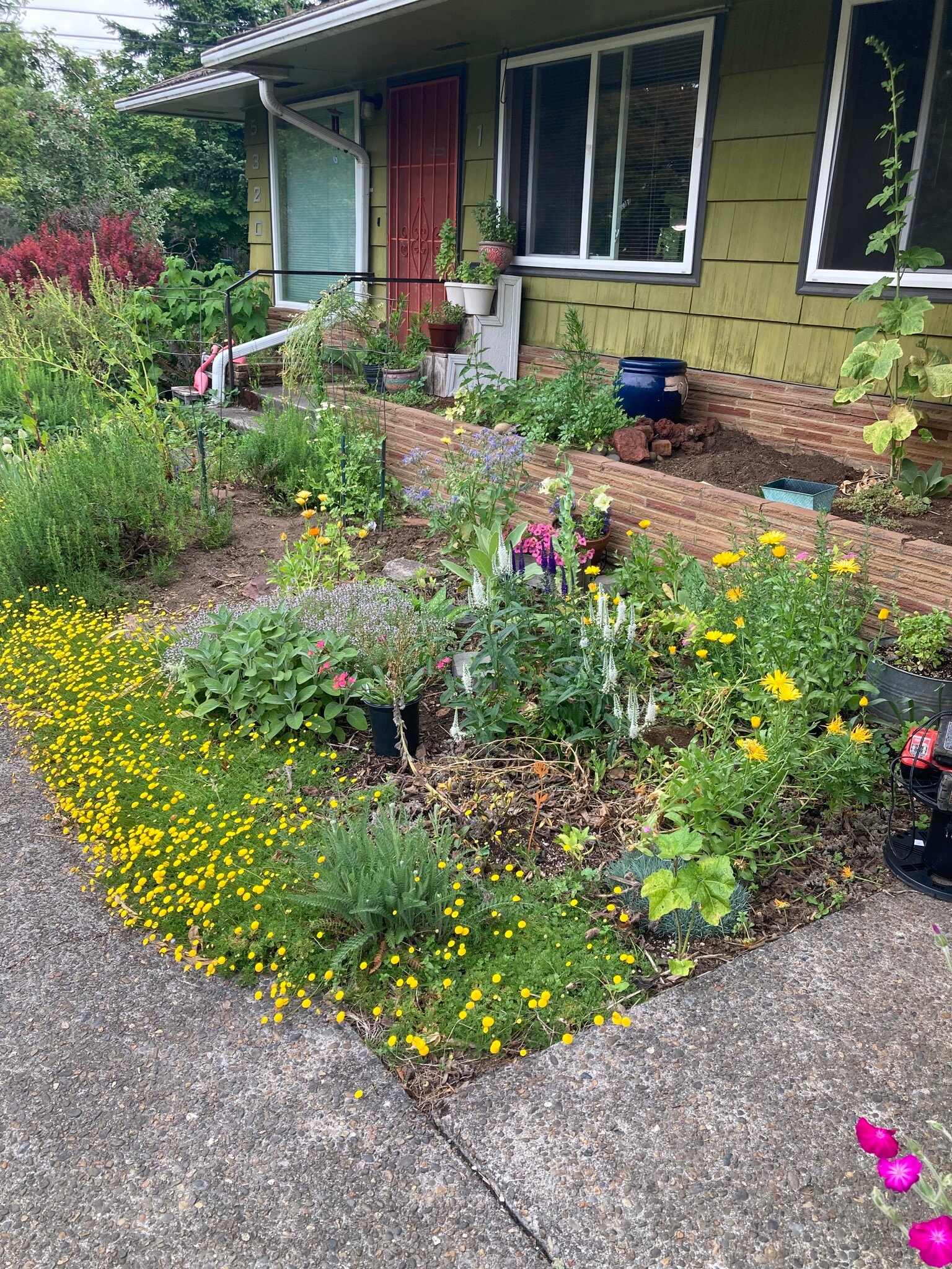 Kitch.Garden@Apt. - 5320 SE Schiller Street