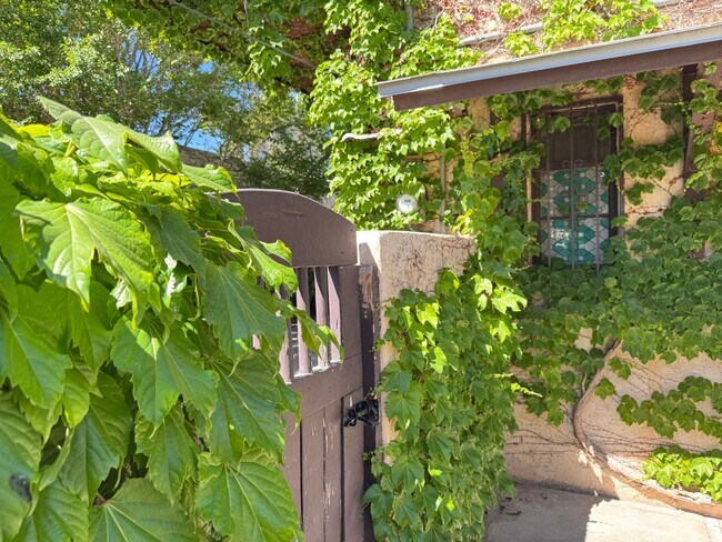 Building Photo - North Campus Gem!