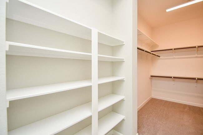 Building Photo - 19746 Shinnery Ridge Ct