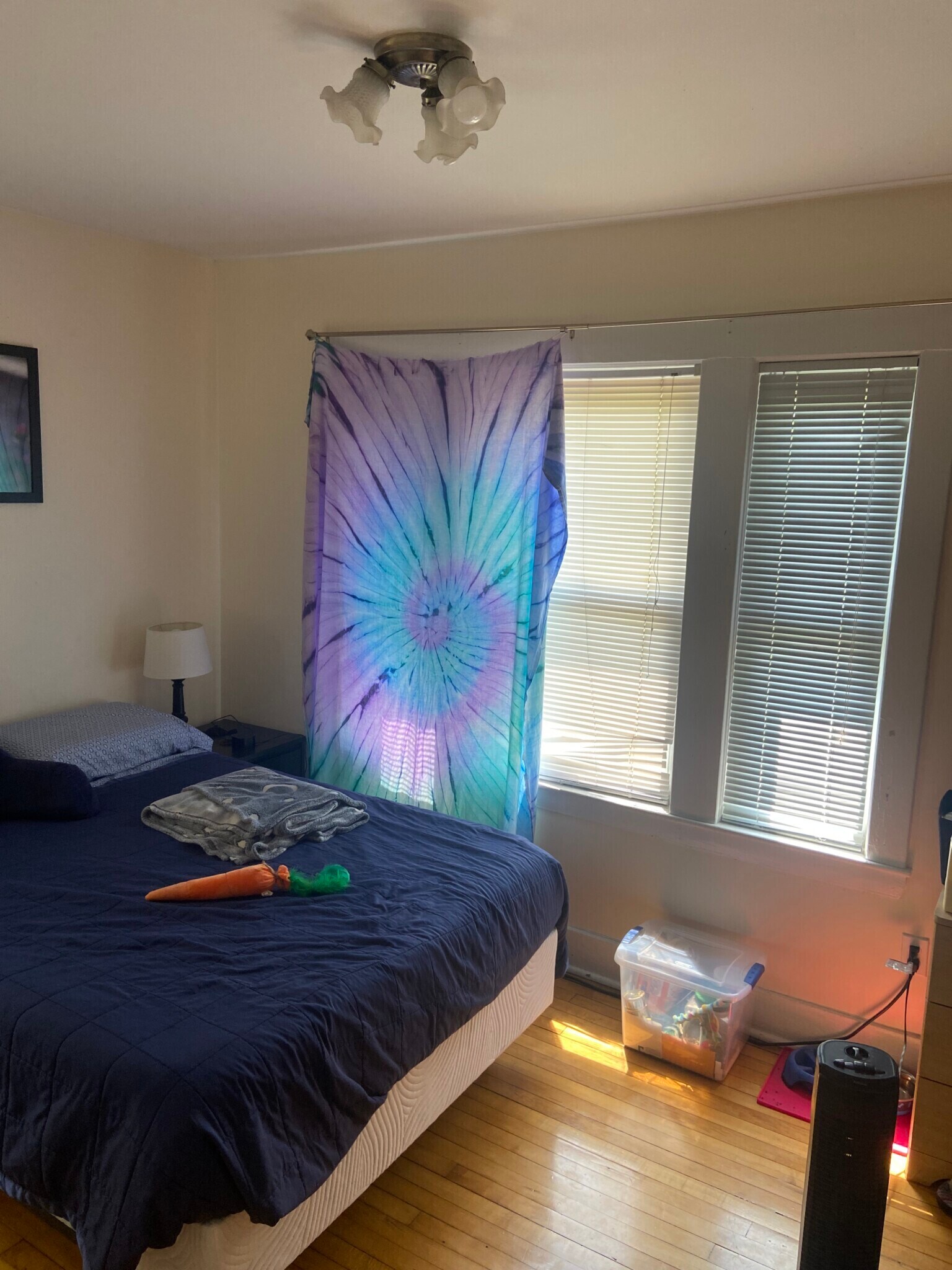 Building Photo - 20 Magoun St