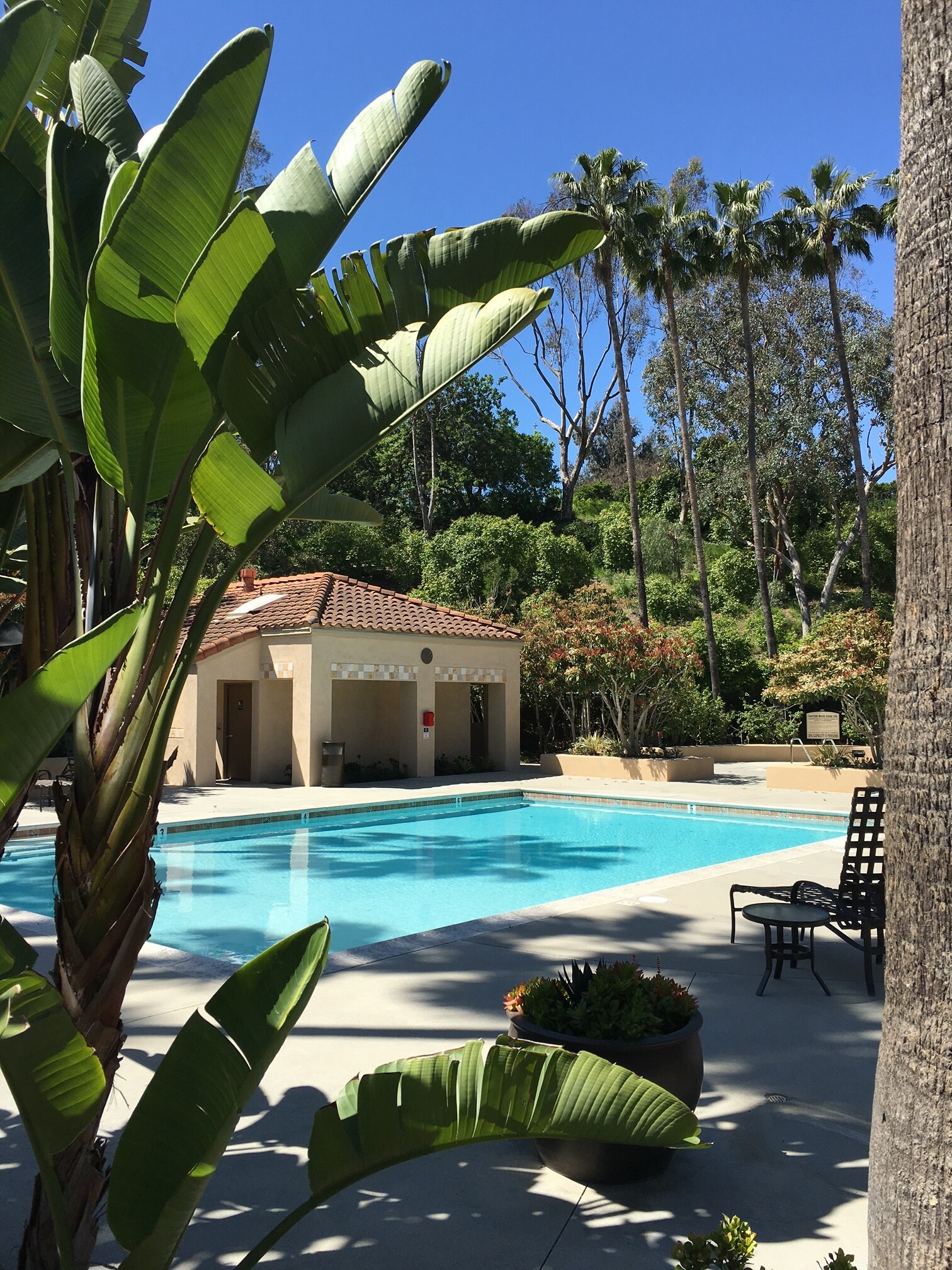 Resort Pool area - 97 Corsica Dr