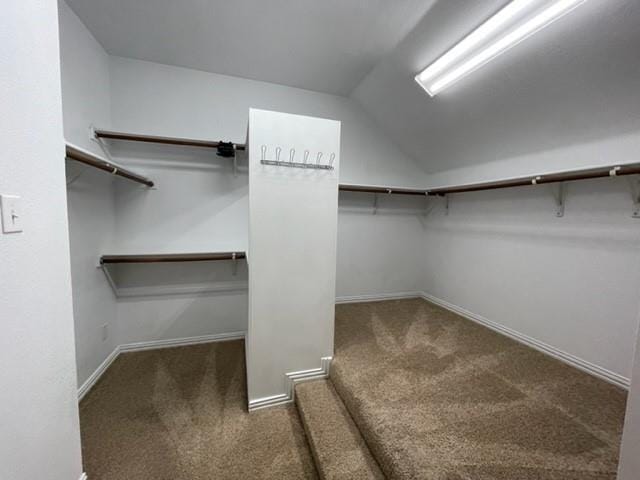 Building Photo - 2501 Grizzly Run Ln