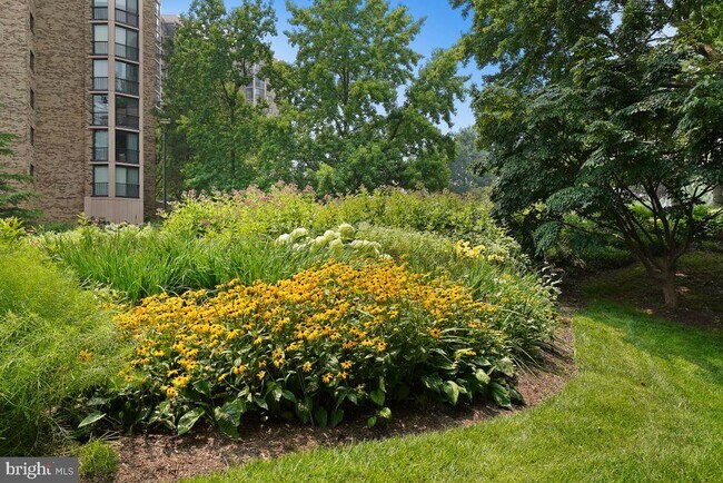 Building Photo - 5902 Mt Eagle Dr