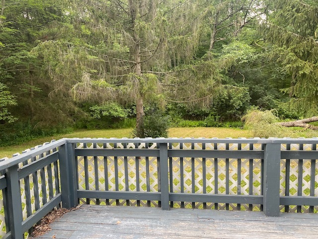 Deck view into yard - 34 Meadowlark Dr