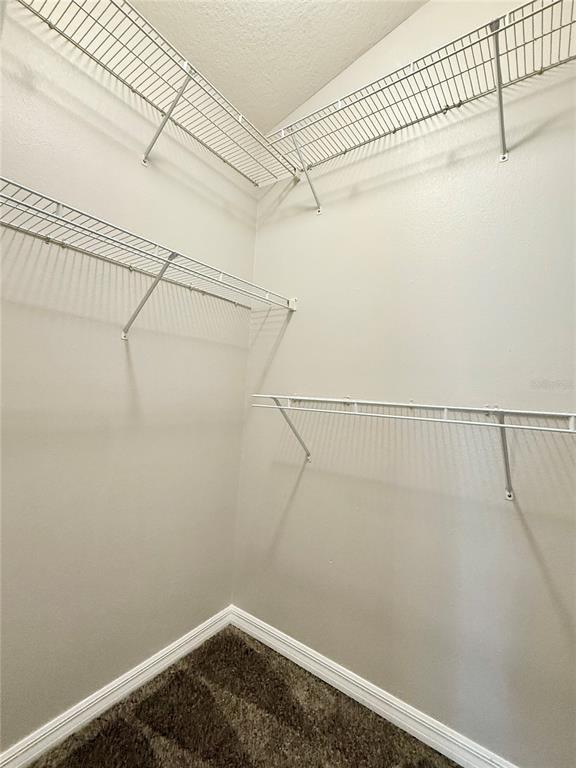 Building Photo - 28510 Seashell Ct