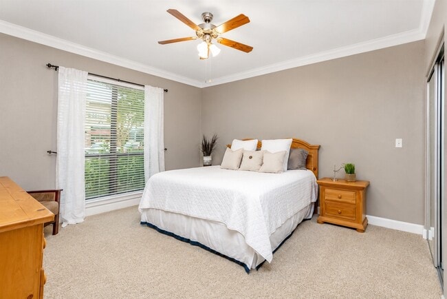 Building Photo - 2299 Lone Star Dr