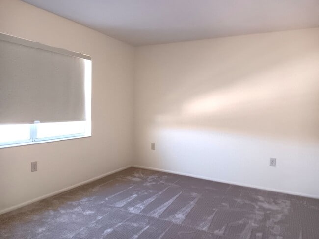 Building Photo - Sunny spot in St Pete, close to downtown & all kinds of shopping, dining