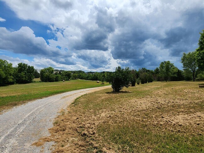 Building Photo - Stunner on Almost 10 Acres on Bear Creek