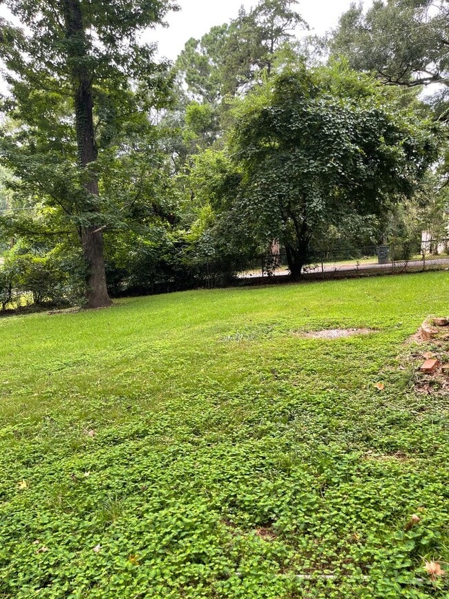 Building Photo - 3 Bedroom House Within Walking Distance of SFA