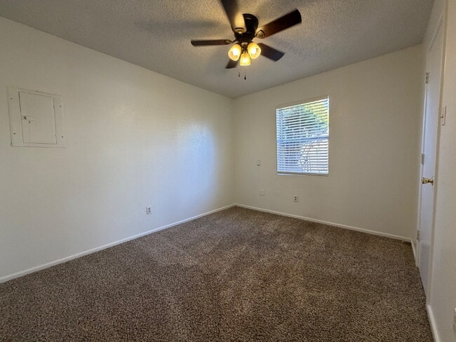 Building Photo - So much light in this perfect two bedroom