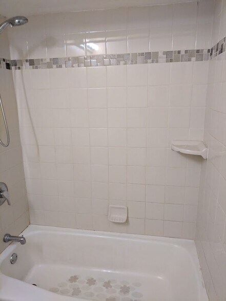Main Bathroom - 133 N Gregory St