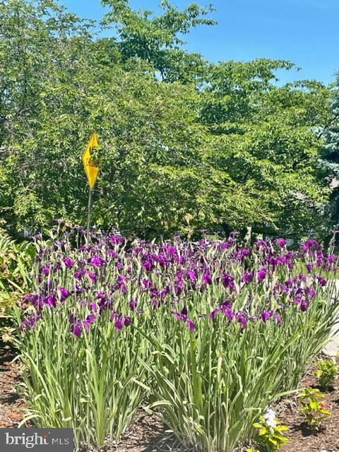 Building Photo - 55 Wincrest Dr