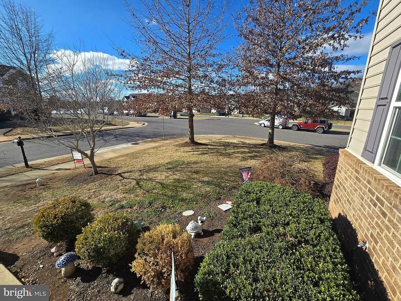 Building Photo - 12203 Salt Cedar Ln