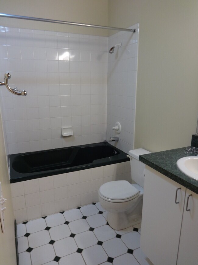 Master Bath - 1000 W Washington Blvd