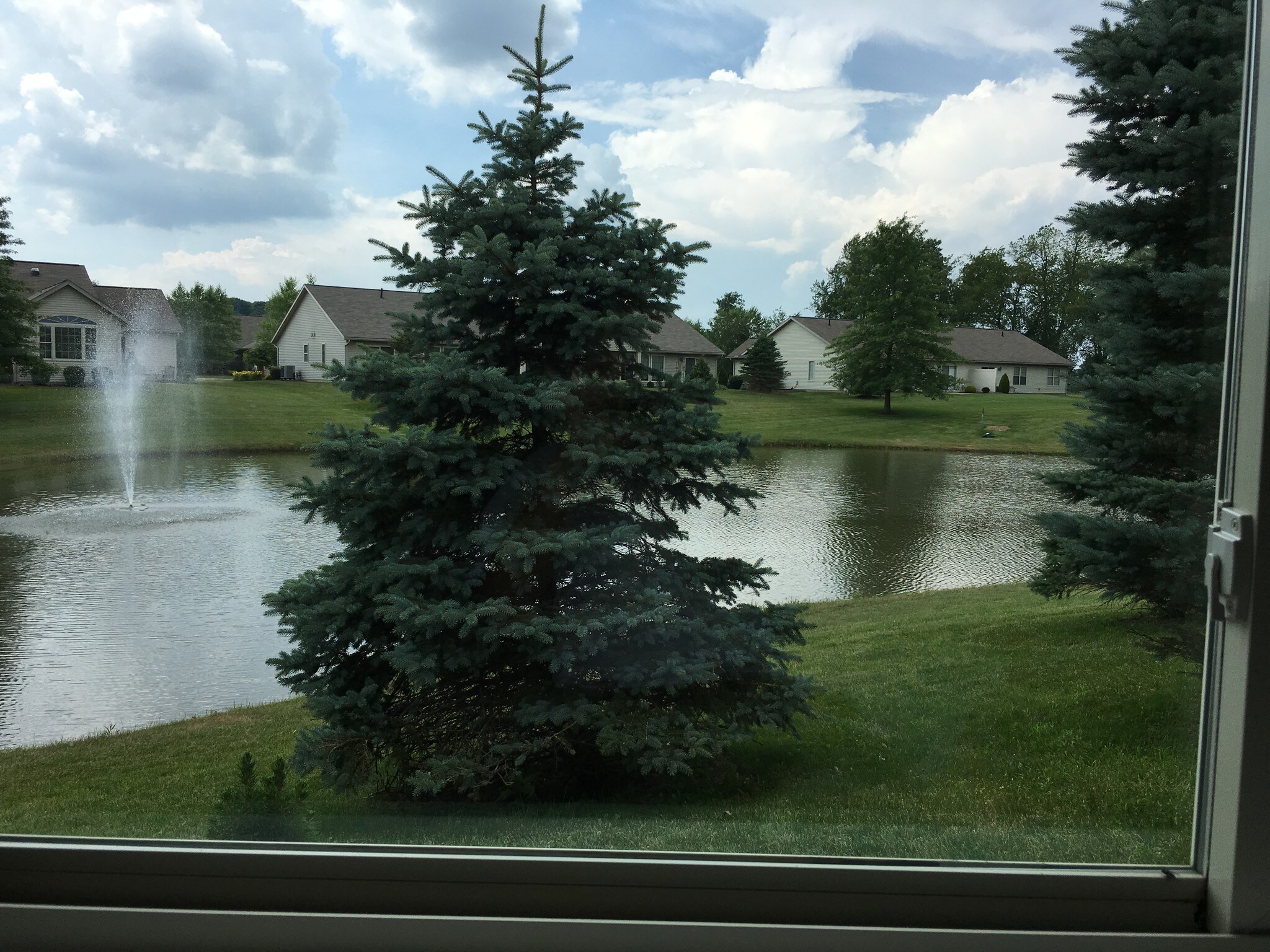 location view - 901 Pine Ridge Pkwy NW