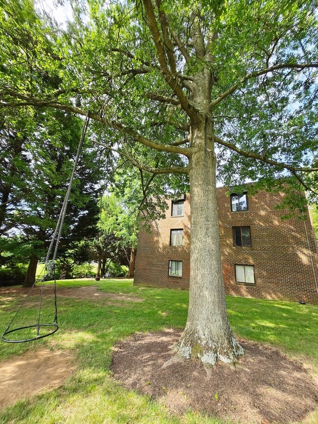 Building Photo - 8729 Hayshed Ln