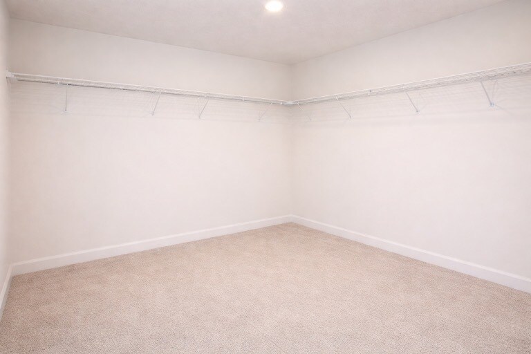 Large walk-in closets - 11521 Southern Creek Dr