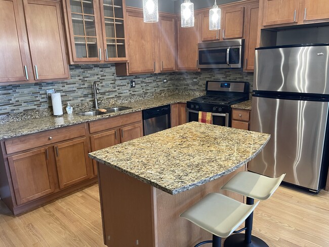 Granite countertops, modern appliances - 5941 W Corcoran Plz