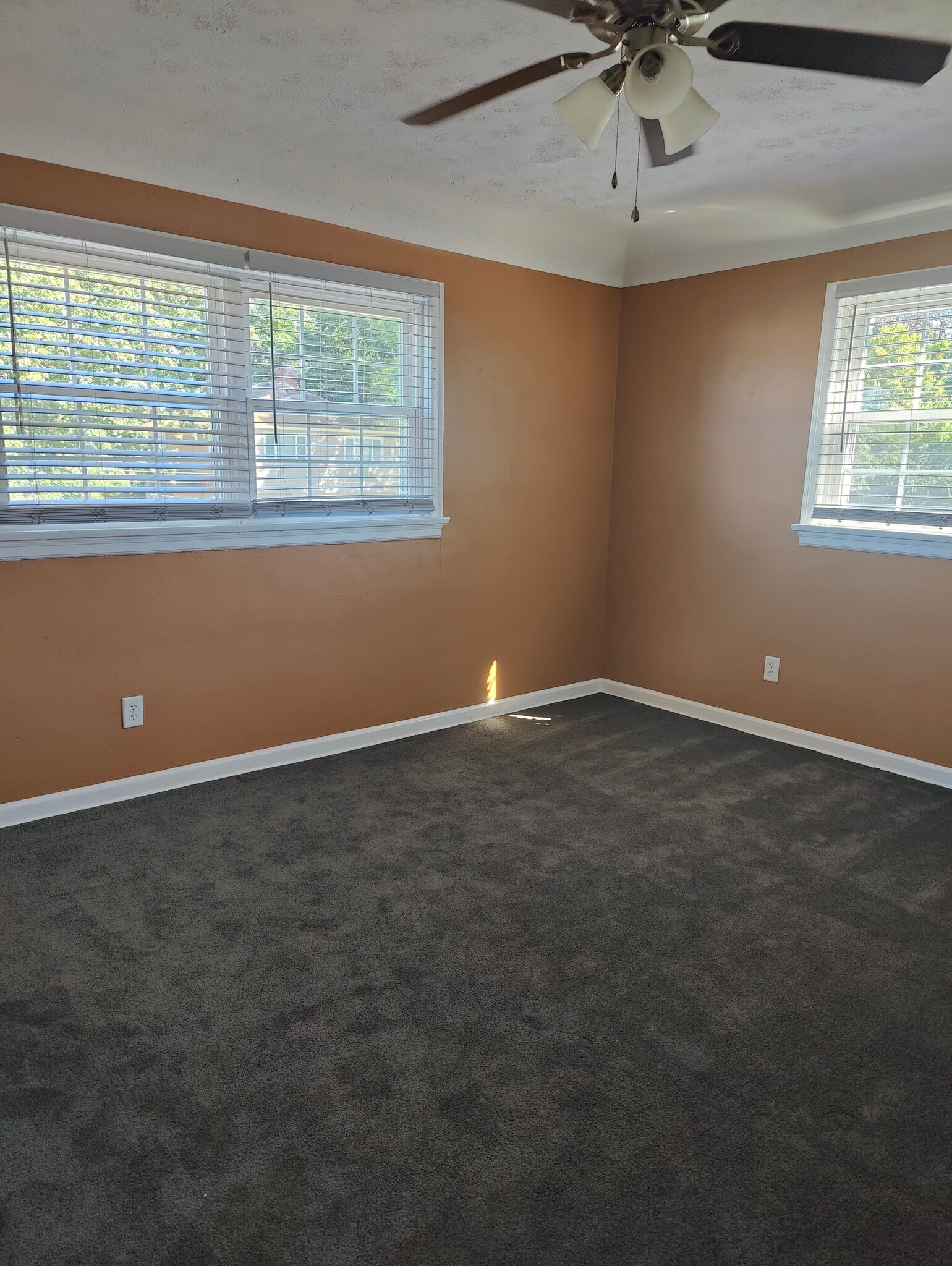 Building Photo - 653 Rhoads Ave