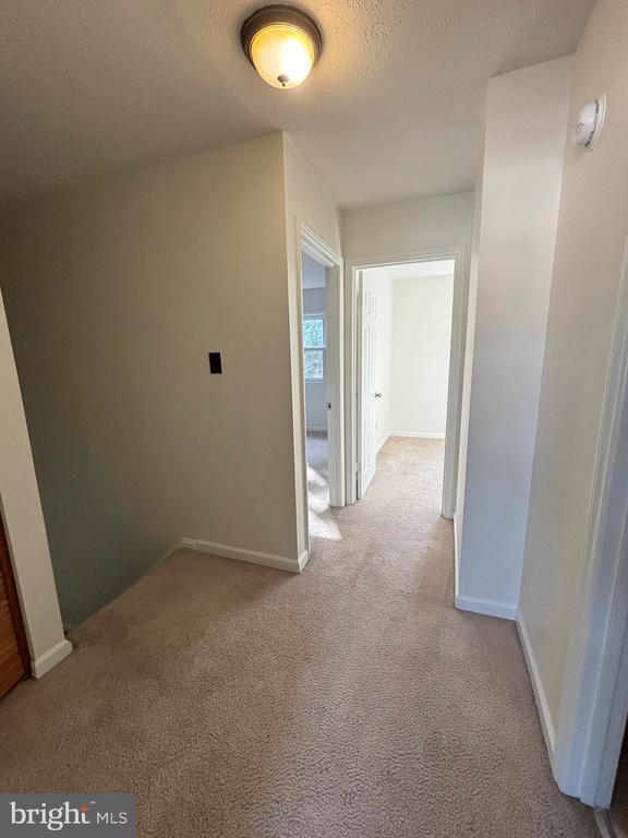 Building Photo - 109 Ash Hollow Dr