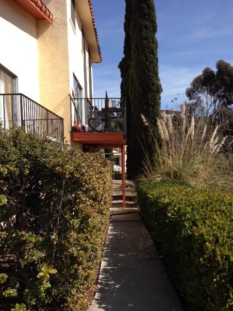 Building Photo - 2805 Fallbrook Ln