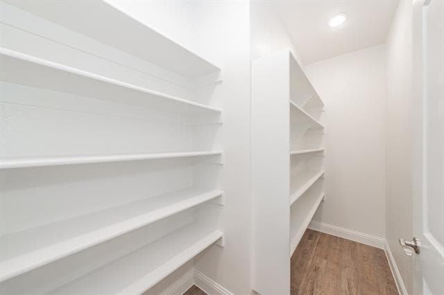 Building Photo - 241 Gardenia Dr