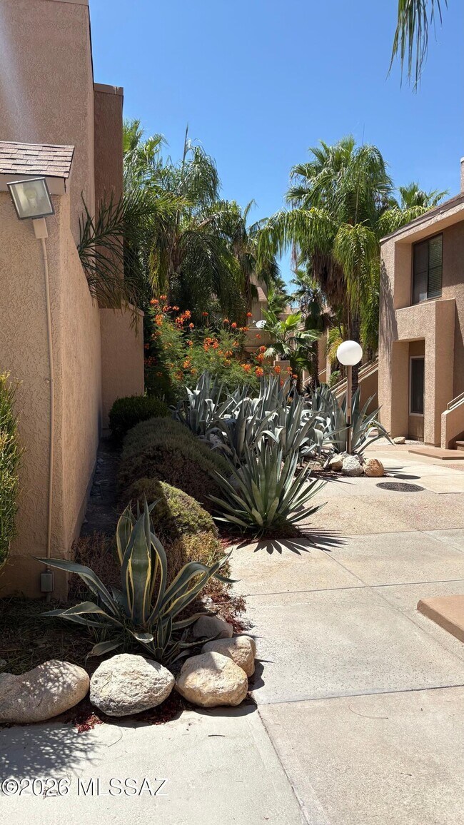 Building Photo - 5675 N Camino Esplendora
