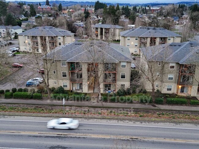 Building Photo - 519 Catron St N