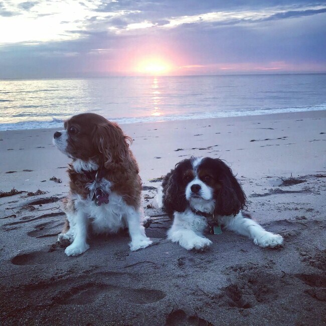 Building Photo - 3421 S Ocean Blvd