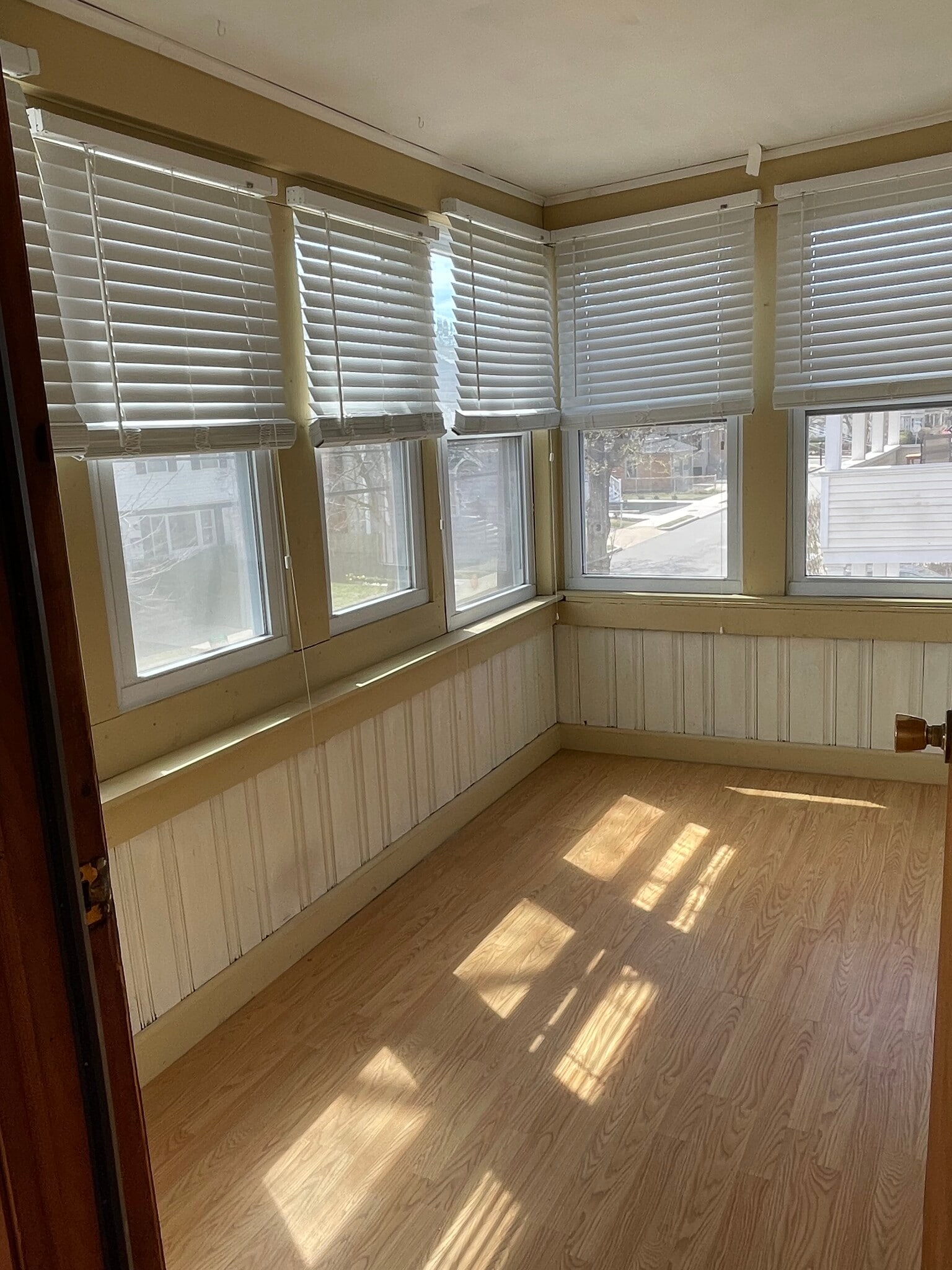 Bright sunroom - 98 Palmer St