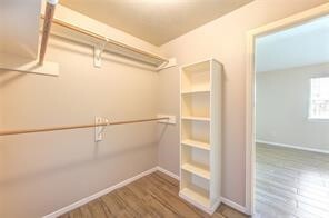 Building Photo - 5349 Pinewood Terrace