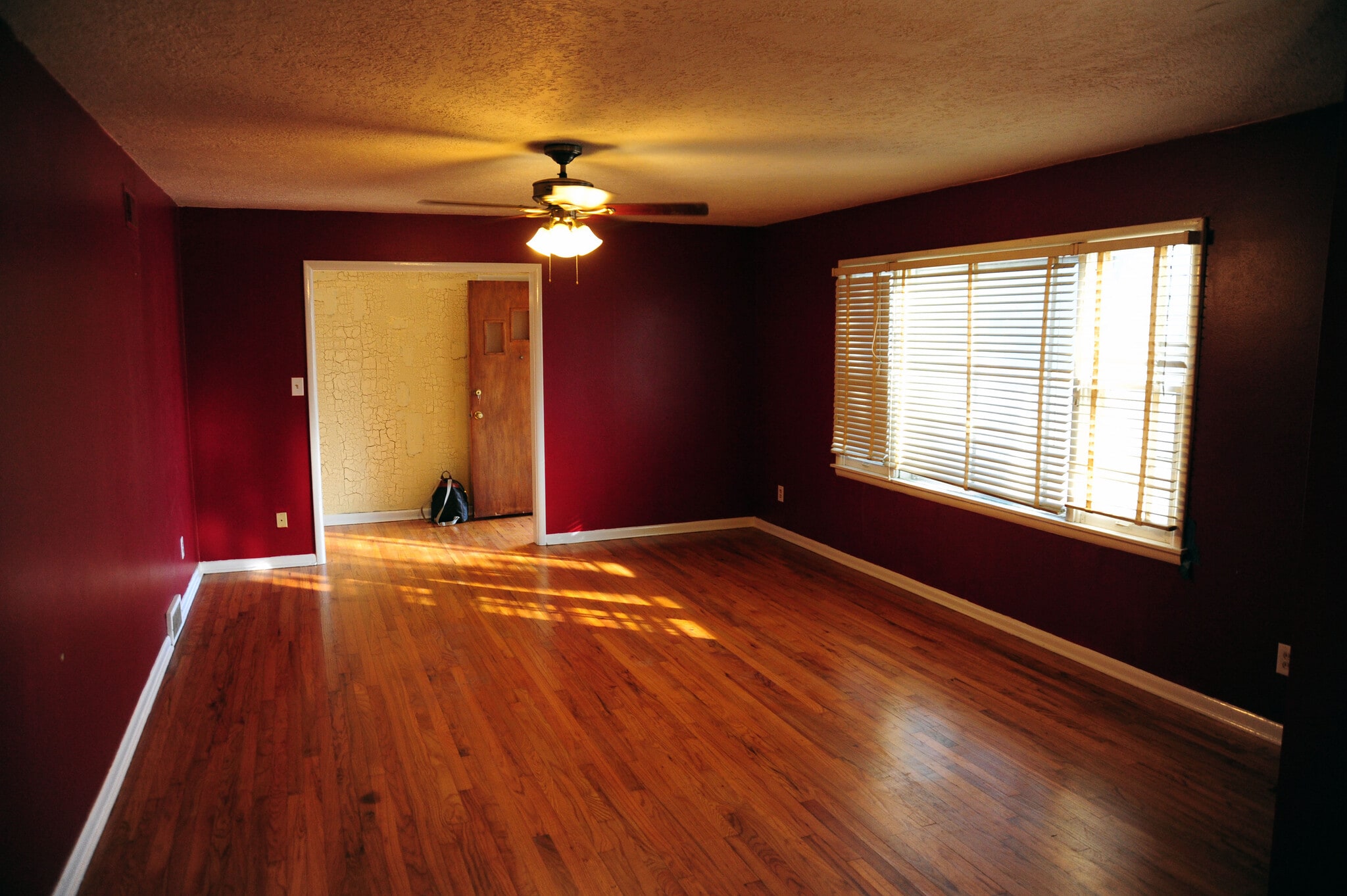Living Room - 1233 West Brooks Street