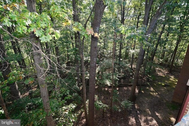 Building Photo - 11803 Breton Ct