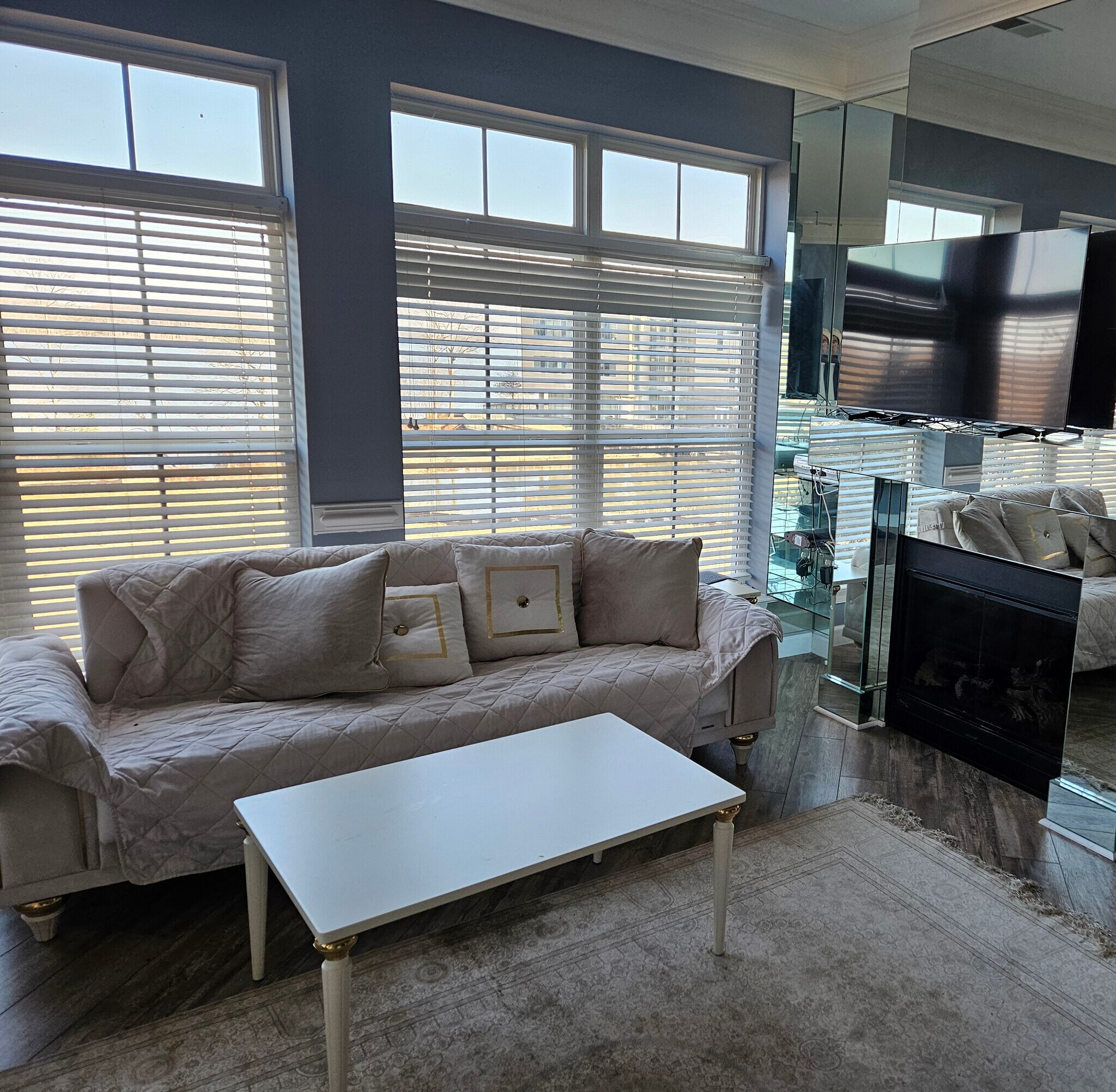 Living room - 810 Belmont Bay Dr