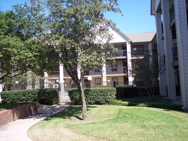 Primary Photo - EL311