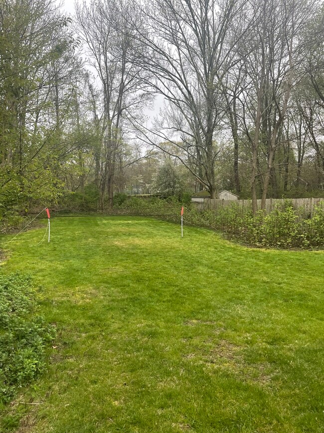 Large Yard - 74 Forest St