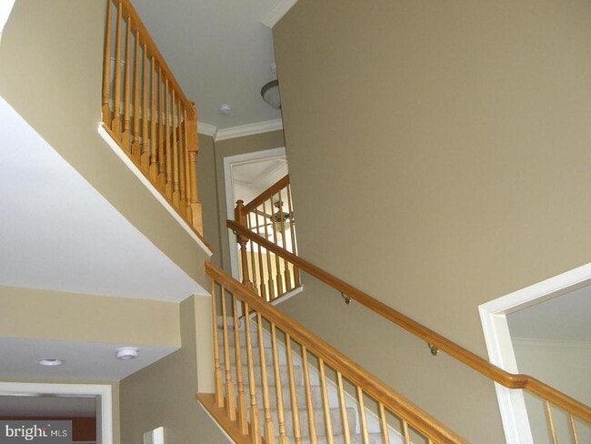 Building Photo - 11361 Falling Creek Dr