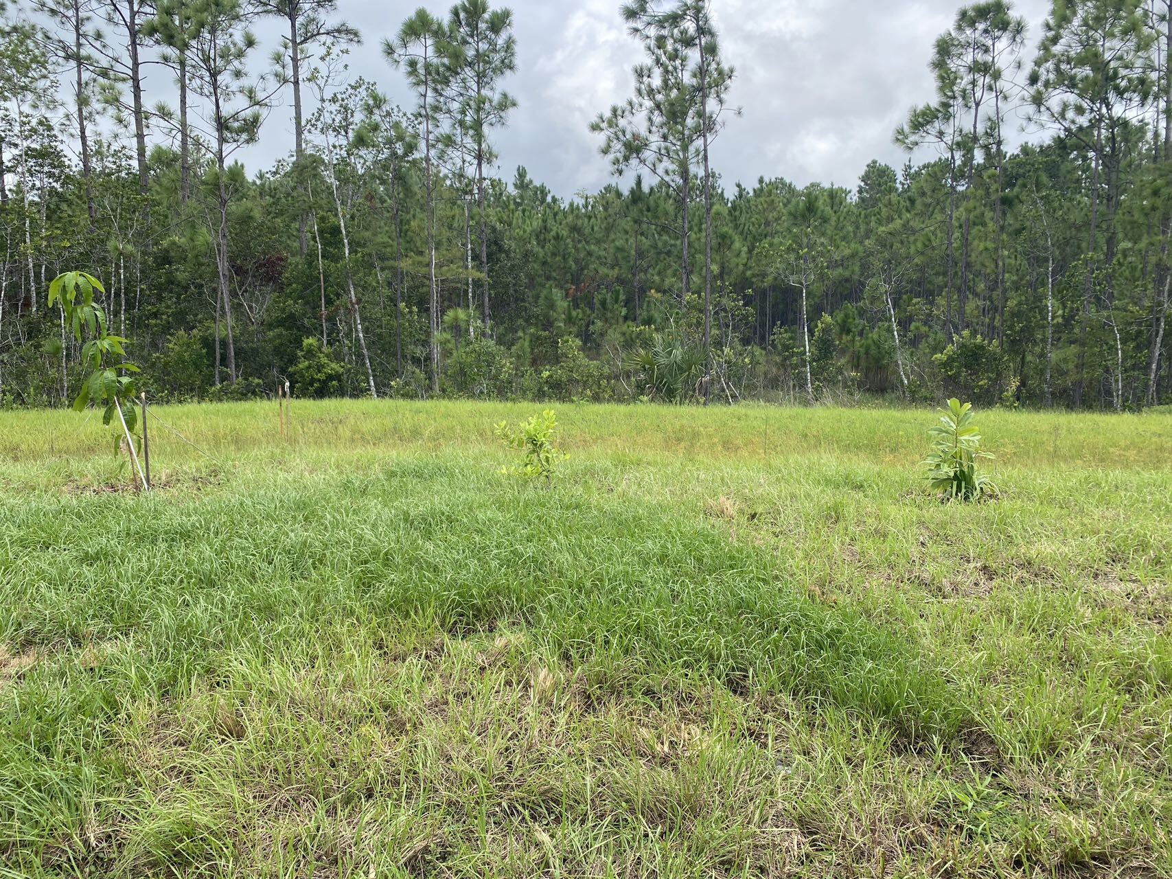 Building Photo - 2316 Green Valley St