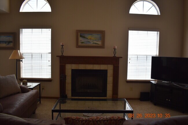 Fireplace - 3126 Station Ct